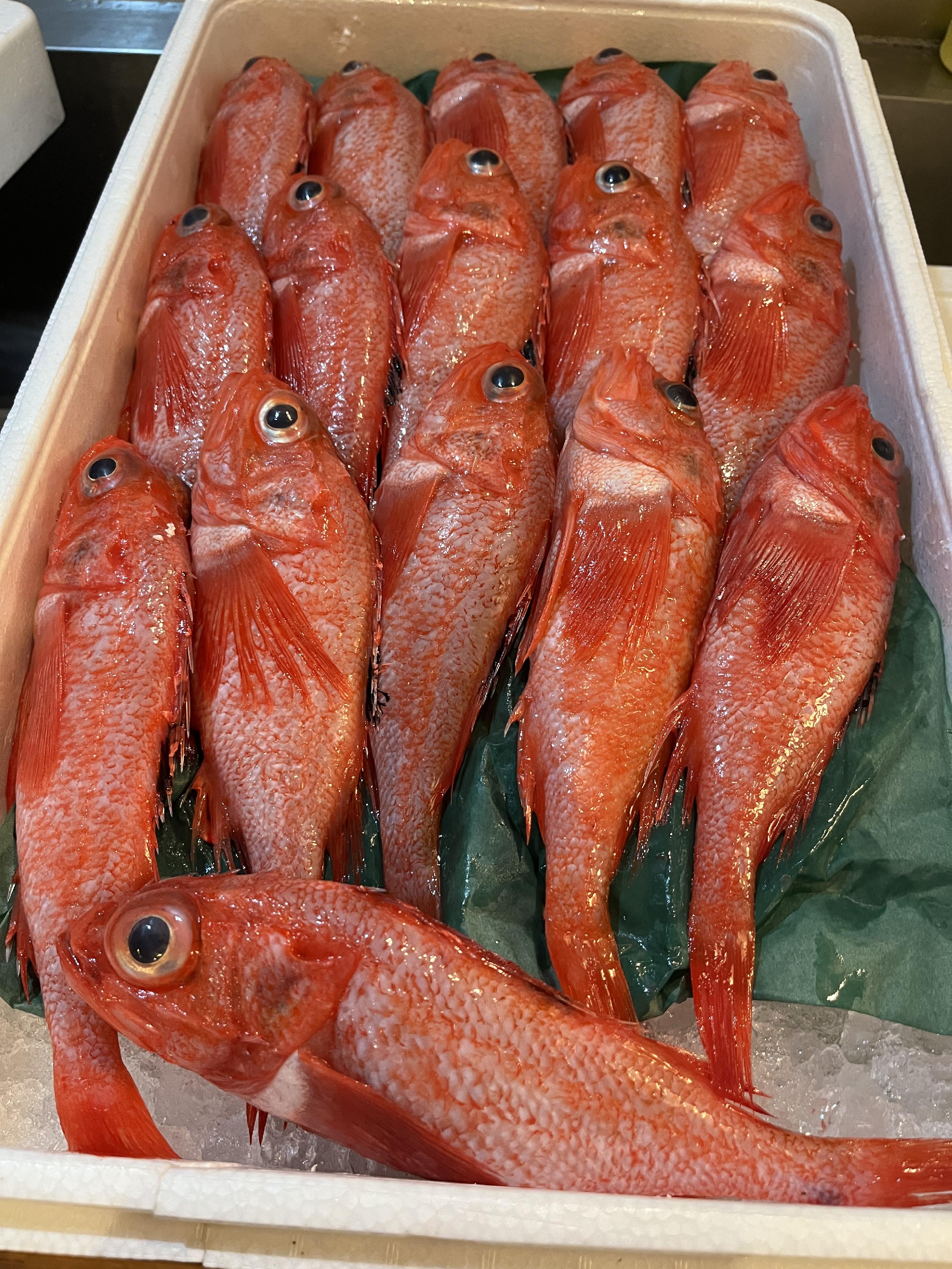 節分の日　ランチサービス企画　キンキ塩焼き登場！