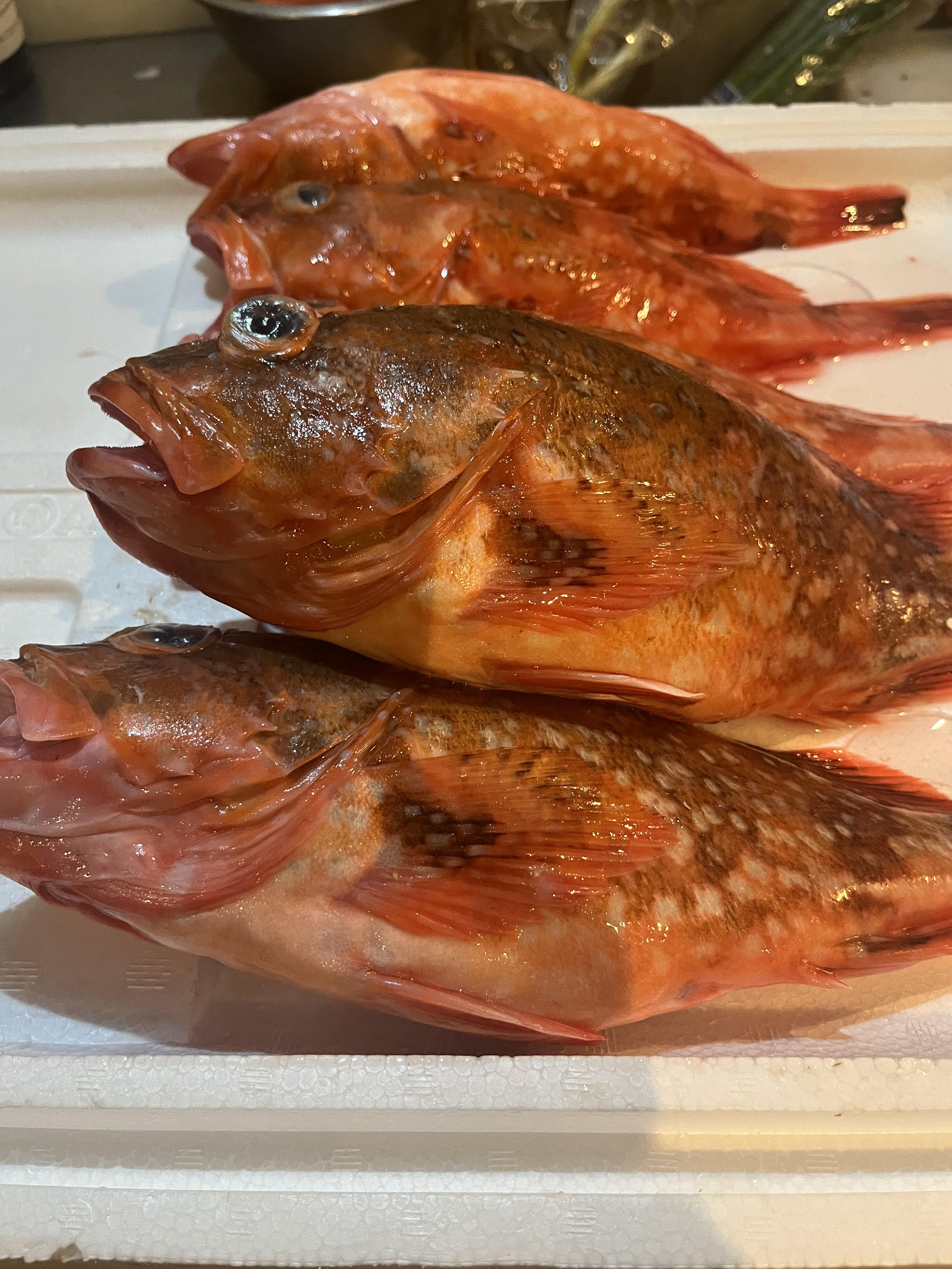 岩手　普代村の魚たちが、ランチに登場！