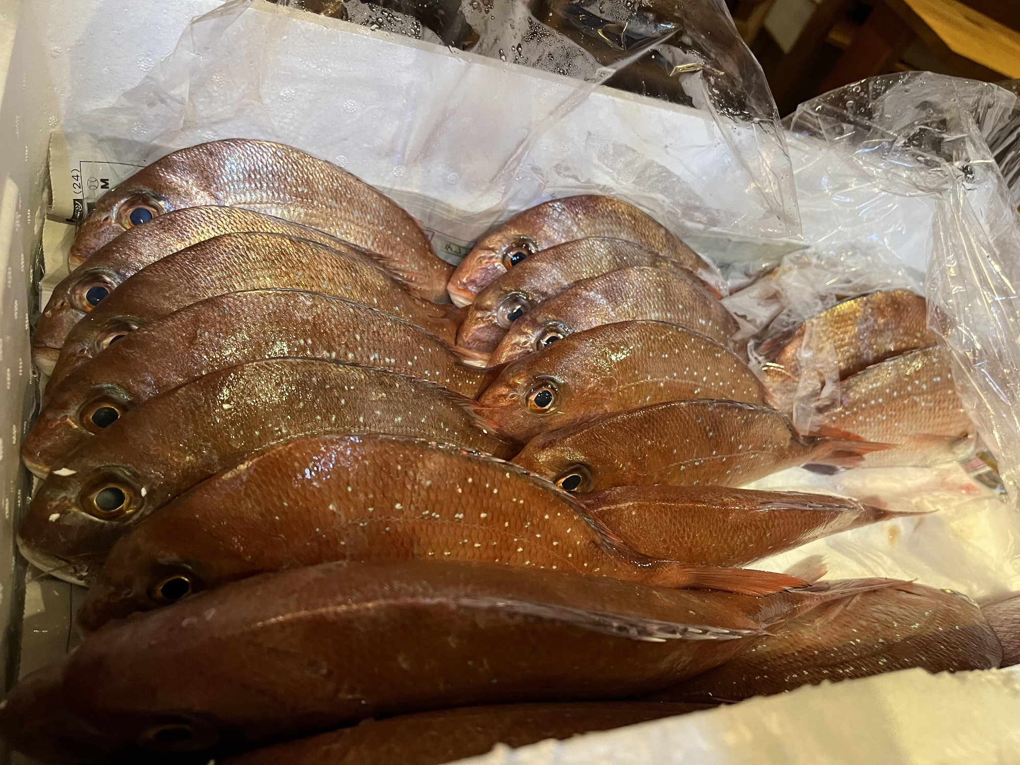 秋深し、しまなみ海道　大島の紅葉鯛