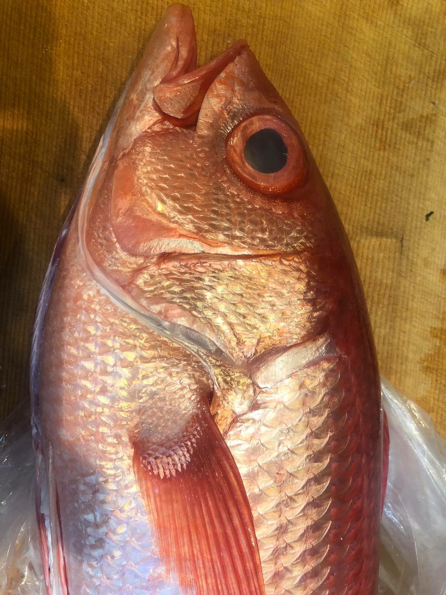 24日熟成 伊豆半島 伊東 浜鯛