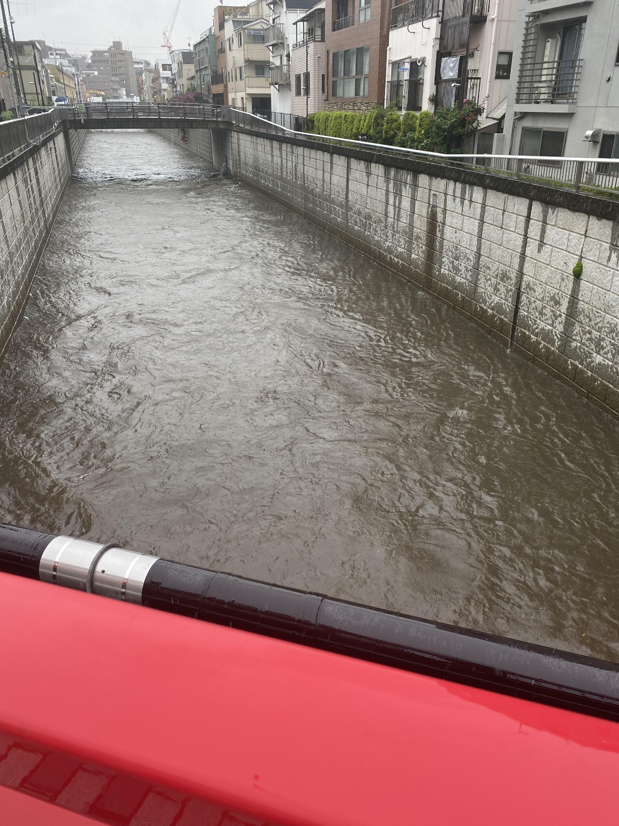 本日の夜の営業はお休みいたします。