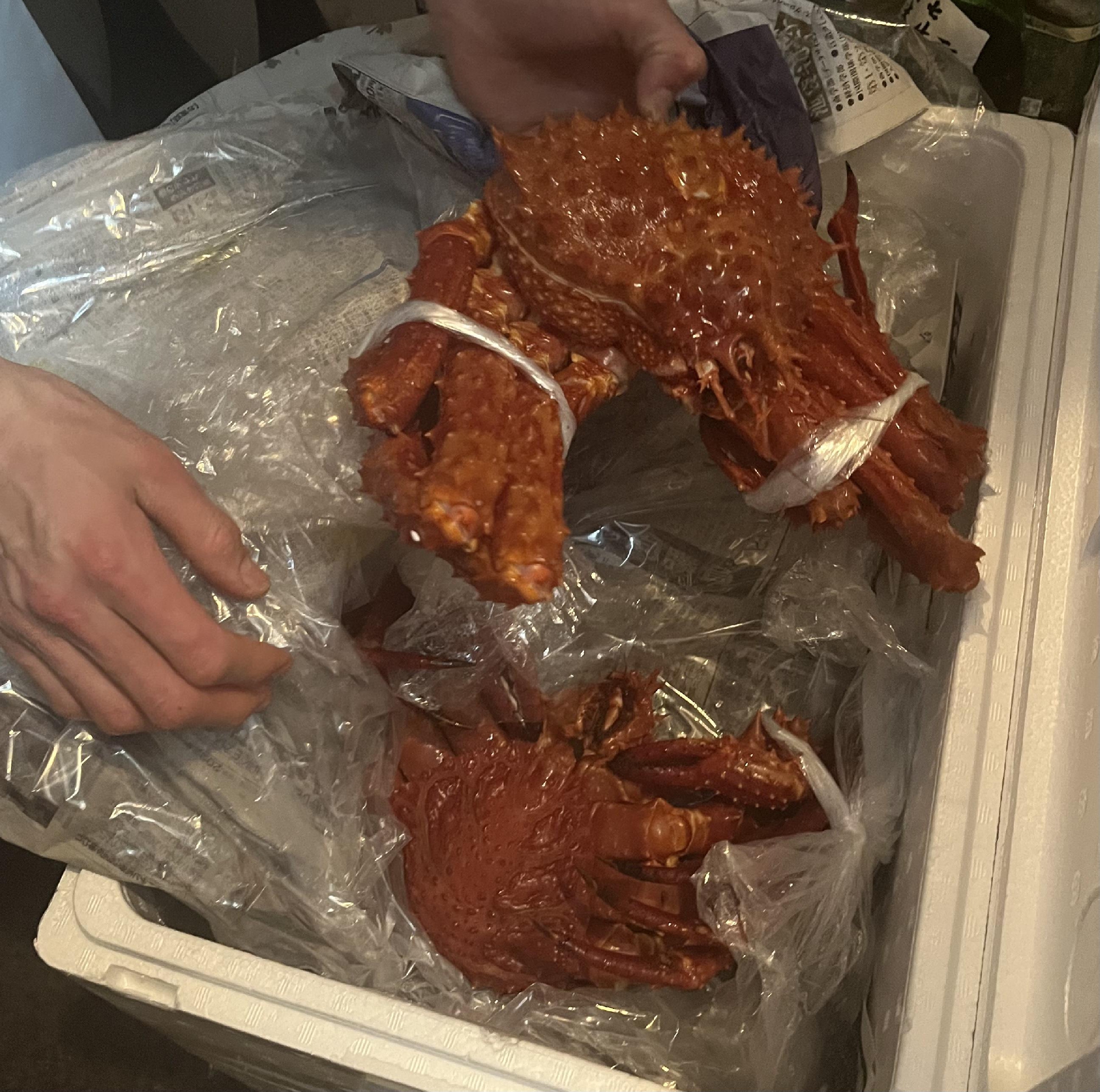 お節料理食材　三浦半島　イバラガニもどき