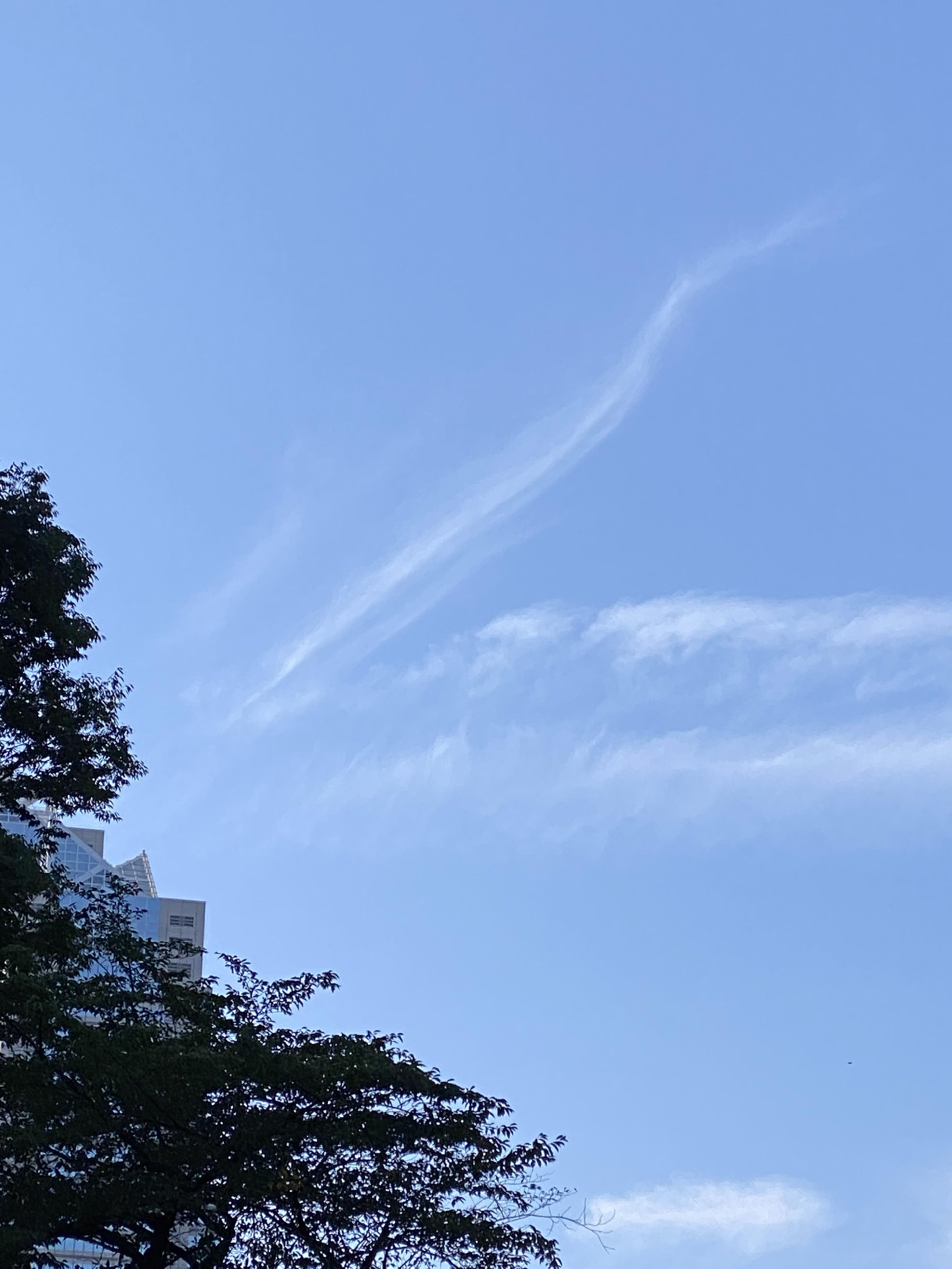 本日の夜の営業は、急遽お休みいたします。