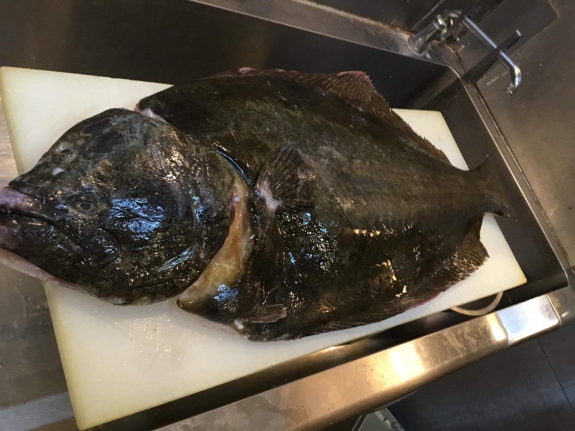 本日のランチのスペシャル食材