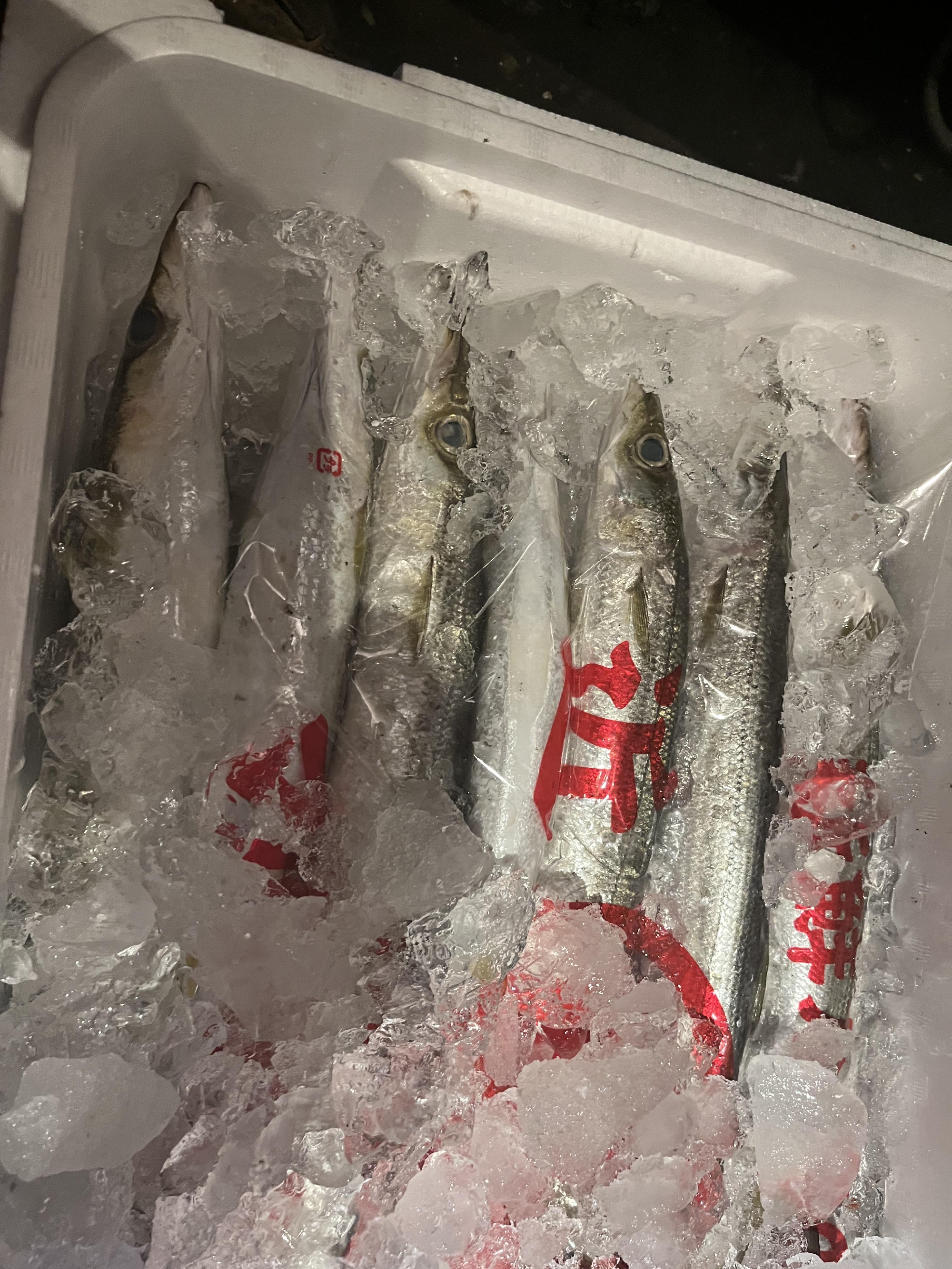 週末のランチは✨