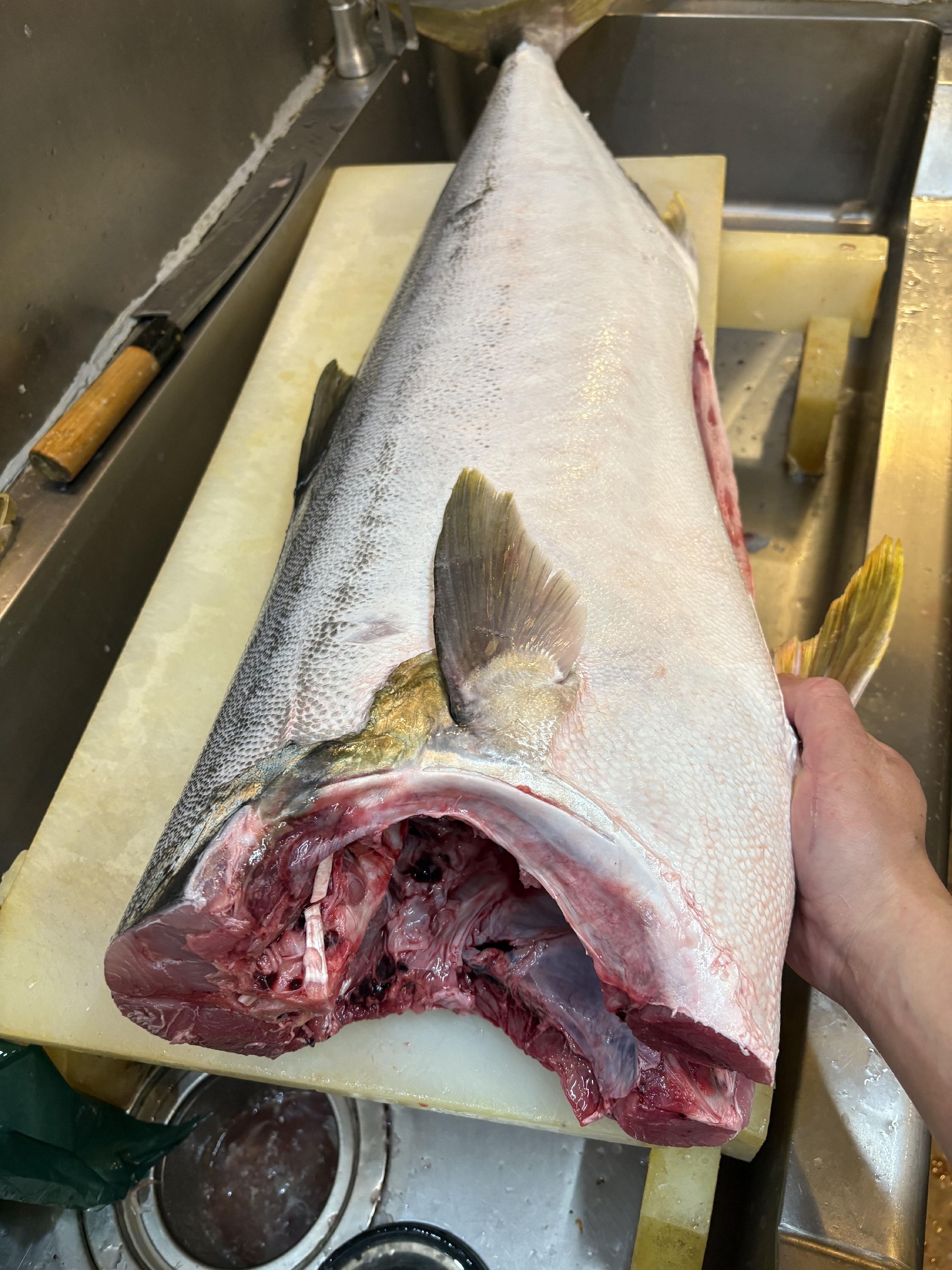 16.9キロの天然ヒラマサ