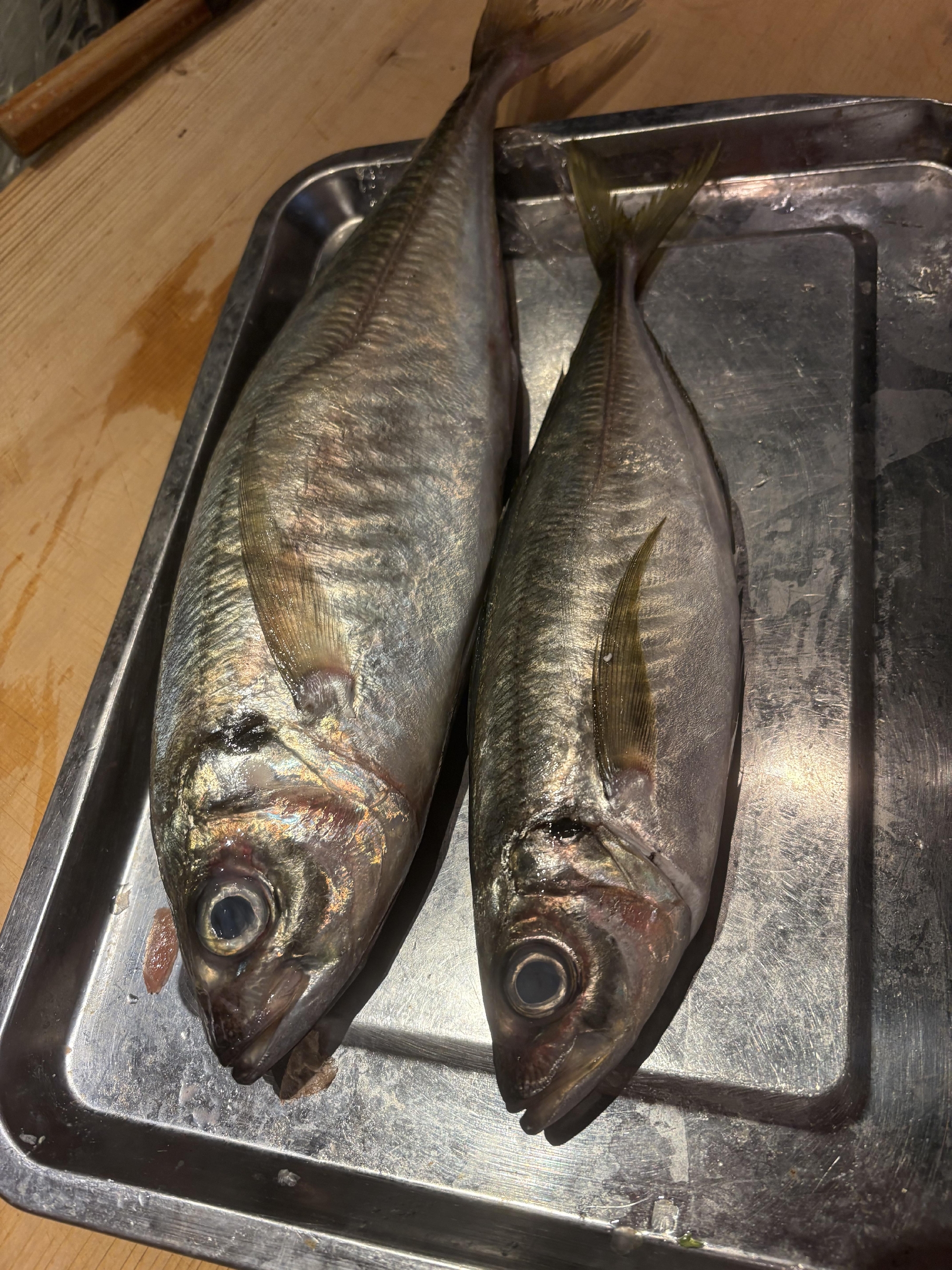 しまなみ海道　極みのマアジ