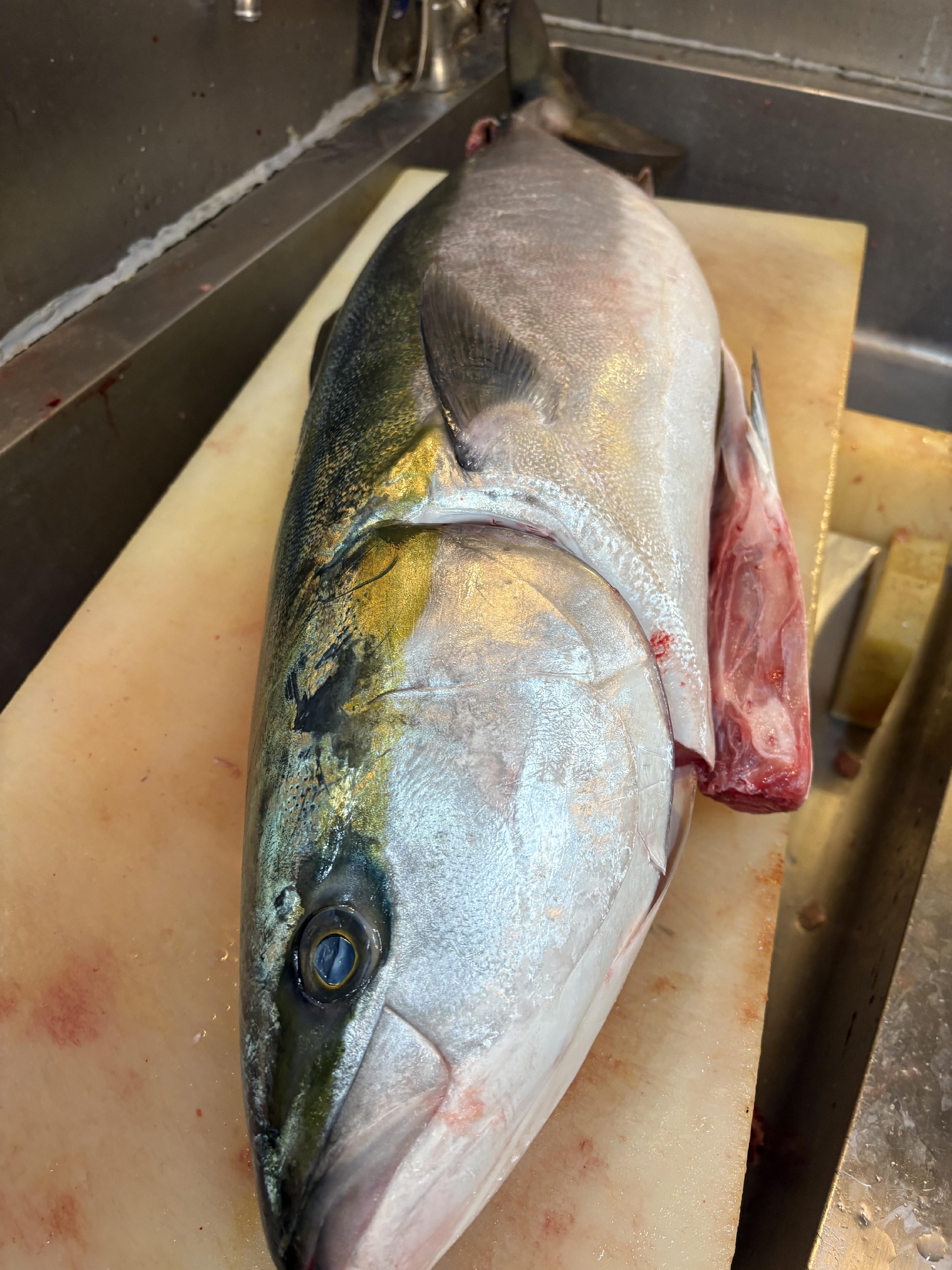 紀伊長島　神経〆天然ブリ