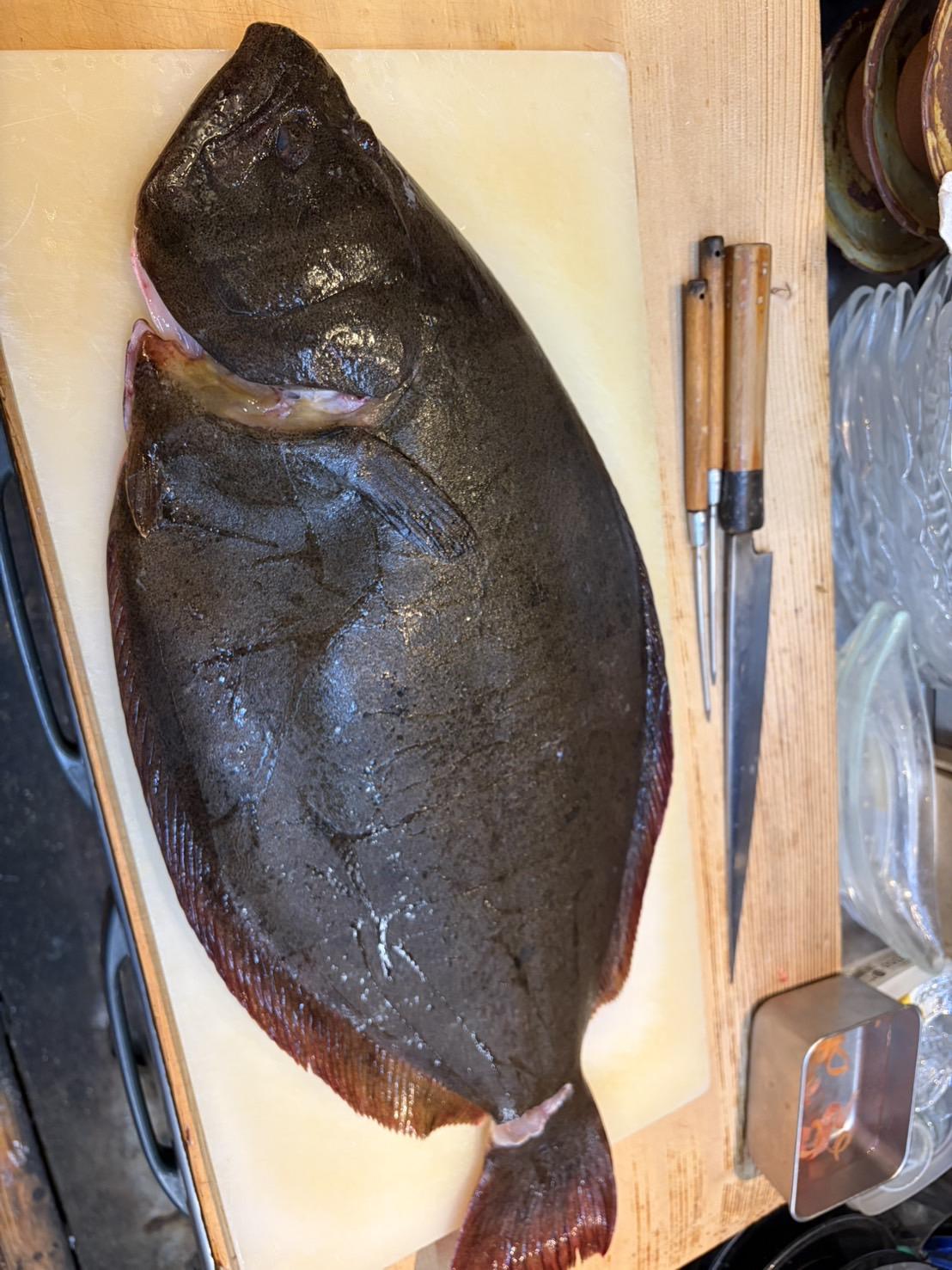 三浦半島　4.1キロ神経〆天然ヒラメ