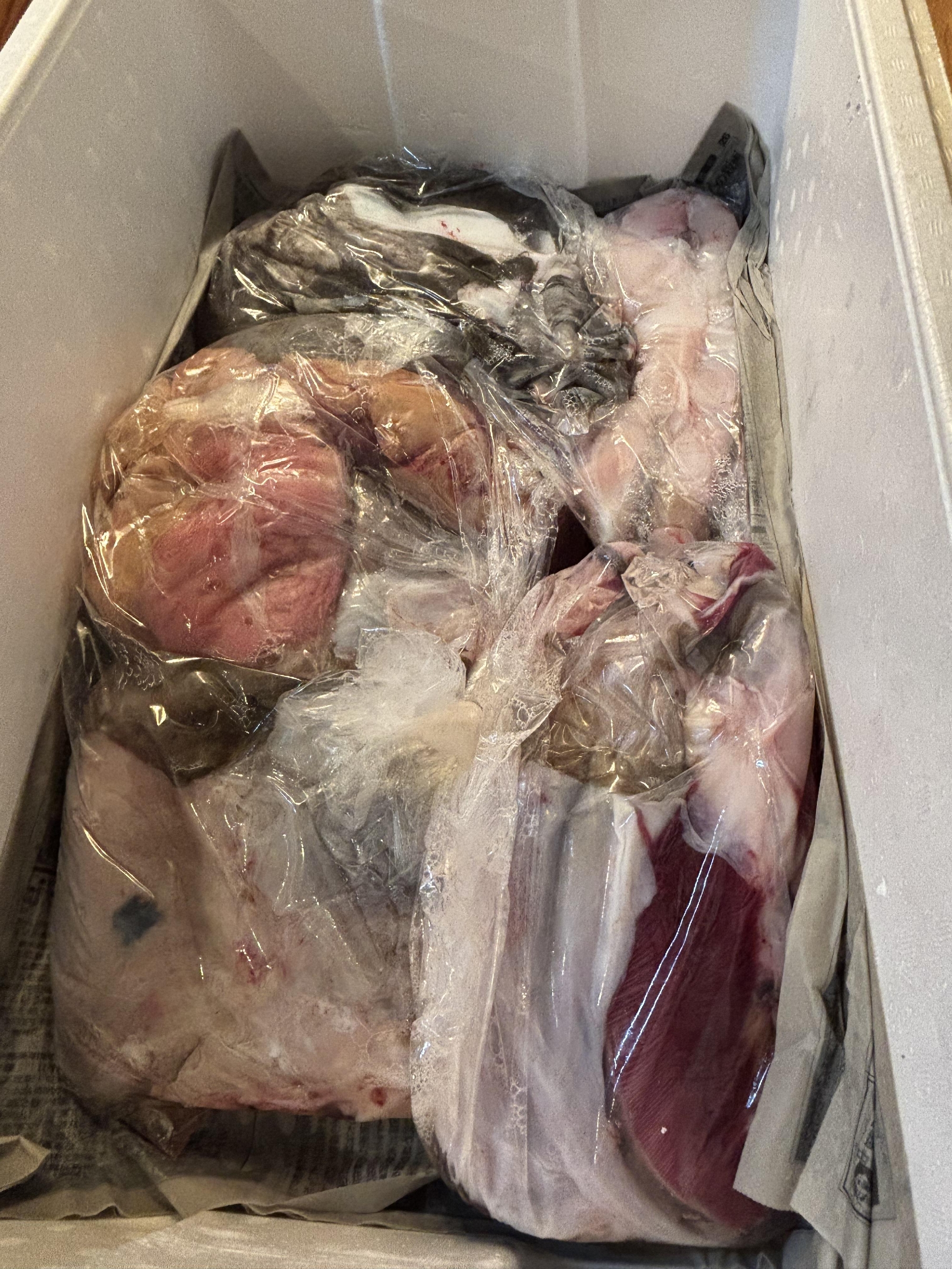 三浦半島　神経〆あんこうが入荷しました。