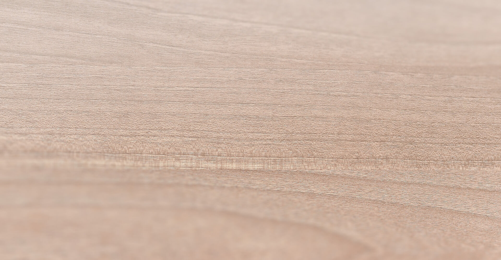 福江島の２キロの神経〆イサキ